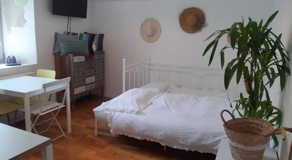 Little Garden Appartement Piran Buitenkant foto