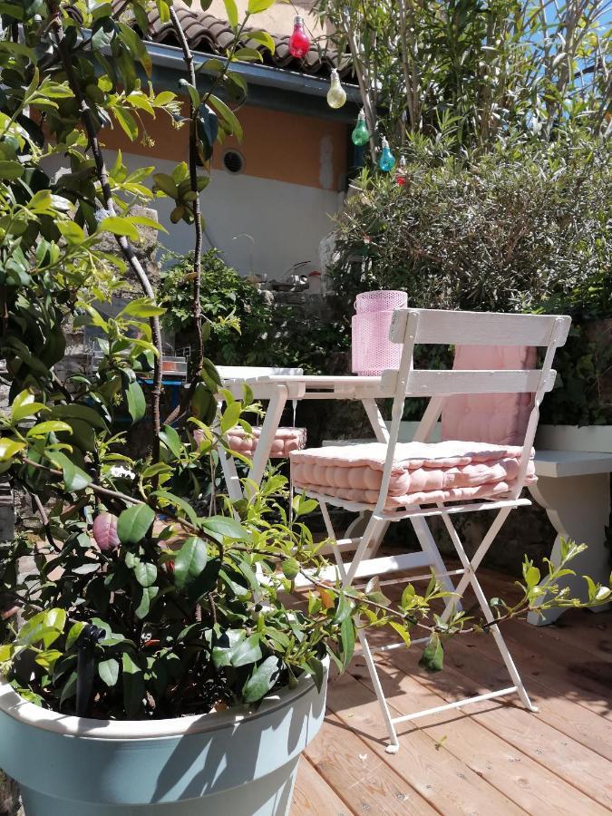 Little Garden Appartement Piran Buitenkant foto