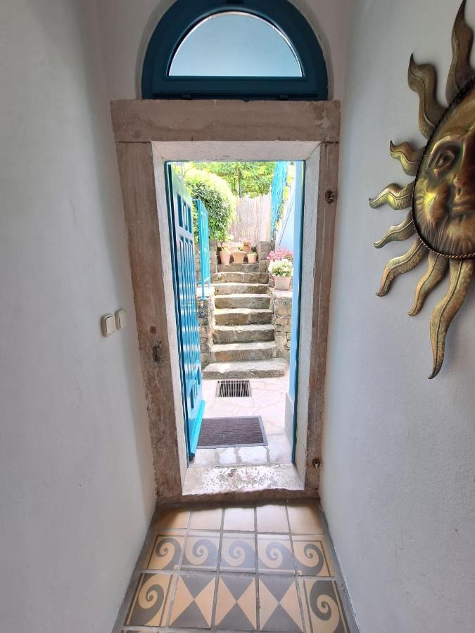 Little Garden Appartement Piran Buitenkant foto